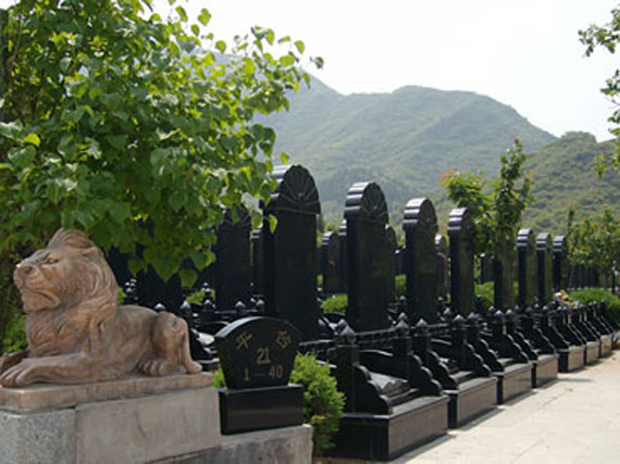 天山陵园墓区景观
