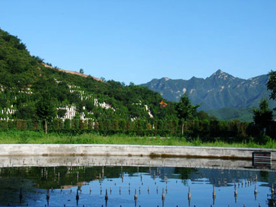 天山陵园青山绿水